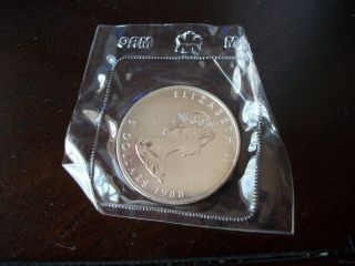 Canada 1988 Canadian Maple Leaf $5 Five Dollar Silver Coin Royal Canadian photo