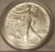 1988 United States Eagle $1 Coin - Pcgs Grade Ms69 Silver photo 1