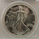 1990 United States Eagle $1 Coin - Pcgs Grade Ms69 Silver photo 1