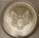 2003 United States Eagle $1 Coin - Pcgs Grade Ms69 Silver photo 1