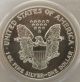 1991 United States Eagle $1 Coin - Pcgs Grade Ms69 Silver photo 3