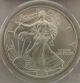2004 United States Eagle $1 Coin - Pcgs Grade Ms69 Silver photo 1