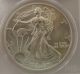 2000 United States Eagle $1 Coin - Pcgs Grade Ms69 Silver photo 1