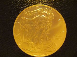 Two 2009 Bu American Silver Eagle Dollars - Uncirculated,  1 Oz.  Silver Bullion photo