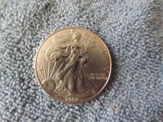 2002 American Eagle Silver Dollar Ungraded 1oz.  999 photo