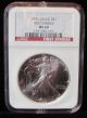1992 Very Rare First Strike Silver Eagle Near Perfect Grade By Ngc Ms69 Rare Silver photo 4