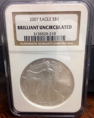 2007 1 Oz Silver American Eagle (brilliant Uncirculated) photo