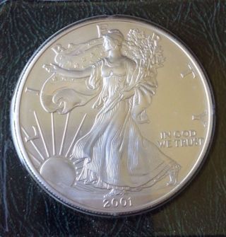 2001 Silver American Eagle Dollar.  999 Silver 1 Troy Oz In Case photo