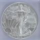 2008 American Silver Eagle Icg Ms69 S$1 Silver Silver photo 1