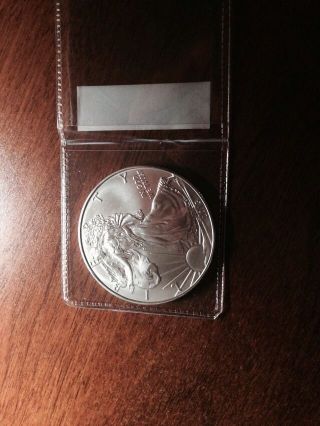 Silver American Eagle 2013 photo