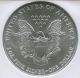 1996 $1 American Silver Eagle Ngc Ms 69 Silver photo 3