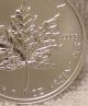 2012 Canada 1oz Maple Leaf Fine Silver Coin Silver photo 4