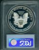 1999 - P American Silver Eagle S$1 Pcgs Pf69 Pr69 Proof Deep Cameo Silver photo 1