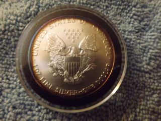 2001 American Eagle Silver Dollar Ungraded 1 Oz.  999 photo