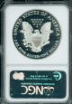 1995 - P American Silver Eagle Ase S$1 Ngc Pf69 Pr69 Proof Pf - 69 Silver photo 1