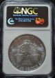 2173 - 2006 Us Silver Eagle - Ngc Ms69 - First 50,  000 Struck Silver photo 2
