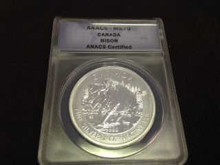 2013 Anacs Ms70 Canadian Bison photo