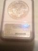 1987 Silver American Eagle (ngc Ms - 69) Silver photo 1