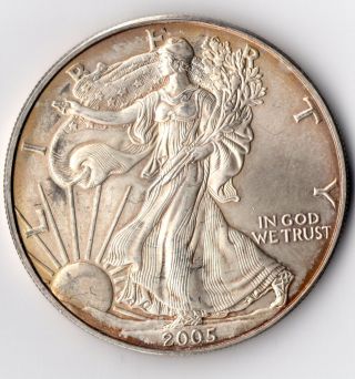 2005 Silver American Eagle Uncirculated $1 Oz.  999 Fine Bullion Dollar photo