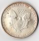 2005 Silver American Eagle Uncirculated $1 Oz.  999 Fine Bullion Dollar Silver photo 1