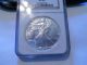 Coinhunters - 1987 American Silver Eagle Uncirculated Ngc Ms69 1 Ounce Silver Silver photo 4