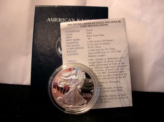 Look 2003 American Eagle Proof Dollar. . . . photo