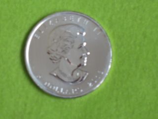 2013 Canada $5 1 Troy Oz Maple Leaf.  9999fine Silver photo