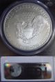 2008 - W 1oz Silver American Eagle Dollar - Pcgs Ms 70 - Burnished Blank Silver photo 2
