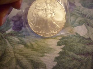 2008 American Eagle Silver Dollar Unc With 1 Oz Fine Silver Ungraded photo