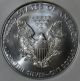 2010 Ms70 Silver Eagle Ngc Early Release Buy Now/make Offer/free Ship Silver photo 2