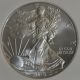 2010 Ms70 Silver Eagle Ngc Early Release Buy Now/make Offer/free Ship Silver photo 5