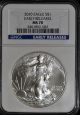 2010 Ms70 Silver Eagle Ngc Early Release Buy Now/make Offer/free Ship Silver photo 8