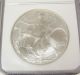 2001 American Eagle One Dollar Ngc Fine Silver Ms 69 Brown Label Frosty 1 Coin Silver photo 1