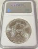 2001 American Eagle One Dollar Ngc Fine Silver Ms 69 Brown Label Frosty 1 Coin Silver photo 2