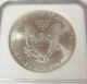 2001 American Eagle One Dollar Ngc Fine Silver Ms 69 Brown Label Frosty 1 Coin Silver photo 3