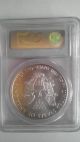 2009 American Silver Eagle $1 Coin,  (blue Label).  Pcgs Graded Ms70,  Spot Reverse Silver photo 1