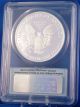 2013 W Silver American Eagle $1 Proof 1troy Oz.  Certified Pr70dcam Perfect Coin Silver photo 5