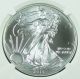 2013 Silver American Eagle - Ms - 69 Ngc Silver photo 1