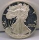 Silver Eagle 2004 - W Gem Proof One Ounce Bullion Coin N5 - 191 Silver photo 1