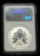 2006 P Reverse Proof Silver Eagle 20th Anniv Ngc Pf 69 Certified 2231609 - 004 Silver photo 3