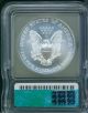2004 American Silver Eagle Ase S$1 Icg Ms69 Ms - 69 Silver photo 1