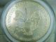 1997 1 Oz American Silver Eagle $1 Bullion Coin Uncirculated Silver photo 7