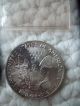 1989 American Silver Eagle Bullion Coin Silver photo 1