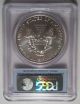 2002 Silver Eagle Dollar Pcgs Ms69 First Strike Flag Label Rare Silver photo 1