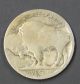 1916 - D Buffalo Nickel Rare Nickels photo 1