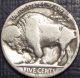 Key Date 1920 - S Buffalo Nickel With Visible Date +nice Details Low Nickels photo 1