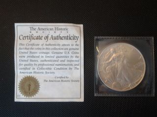 2005 American Eagle 1 Troy Ounce.  999 Fine Silver Dollar photo