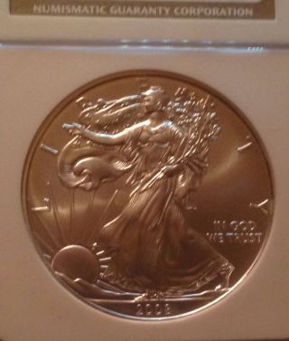 2008 American Eagle Silver $1.  Ngc Ms 69.  Rainbow Toning On Reverse.  Marvolus. photo