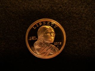 2005 S Native American Sacagawea Dollar Gem Deep Cameo Proof Us Coin photo