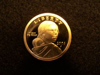 2006 S Native American Sacagawea Dollar Gem Deep Cameo Proof Us Coin photo